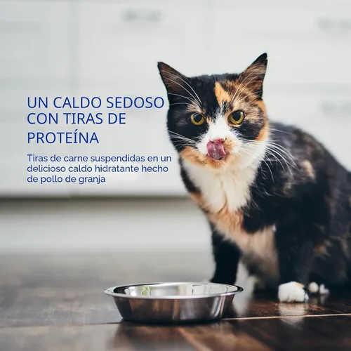Miniatura 6 de INABA Churu Caldo para gatos, bolsa de guarnición, 1.4 onzas por bolsa, 12 bolsas, variedad de pollo y mariscos