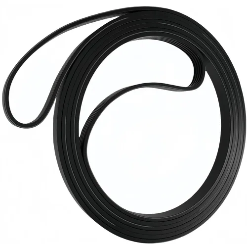 8066065 341241 - Correa de secadora para secador Whirlpool Amana Maytag Kenmore Roper | Sustituye a 33002535 53-2910 3394651 695055