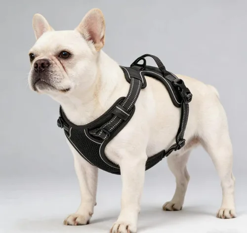 Miniatura 20 de Arnés azul para perro sin tirones con 2 clips para correa, chaleco acolchado suave para perros grandes, chaleco reflectante ajustable para perro
