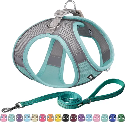 Miniatura 15 de AIITLE - Juego de arnés y correa para perro sin tirones, arnés ajustable para perros con chaleco acolchado para todo clima, correa para perros