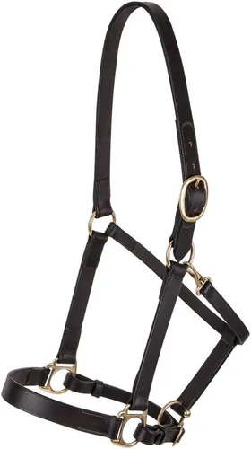 Dura-Tech Premier Lancaster - Cabestro de cuero para caballos | Cabestro de cuero económico simple con ajuste ajustable y herrajes de latón macizo