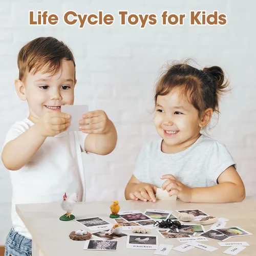 Miniatura 5 de MEROCO Juguetes de ciclo de vida de pollo para niños, insectos, hormigas, insectos, juguetes para niños de 3 a 5 años, tarjetas de animales
