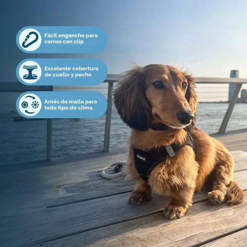 Miniatura 3 de Best Pet Supplies Voyager Step-in Air - Arnés de malla para todo tipo de clima, reflectante, antitirones, para perro y gato pequeño y mediano, Arnés