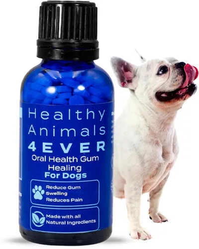 HA4E - Suplemento de salud oral para perros - Alivia la inflamación, alivia el dolor y combate la enfermedad de las encías - Natural, sin OMG,