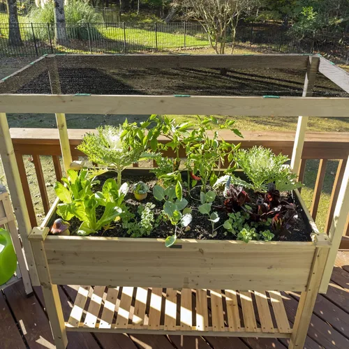 Miniatura 4 de Coolaroo Tela de sombra de jardín con 50% de bloqueo UV para plantas, tela transpirable resistente al desgarro para invernaderos, plántulas y Negro