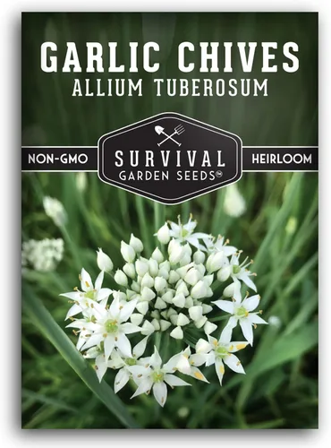 Miniatura 10 de 5 paquetes de semillas de cebollino de ajo para plantar, paquete con instrucciones para cultivar deliciosas hierbas perennes en el huerto de tu