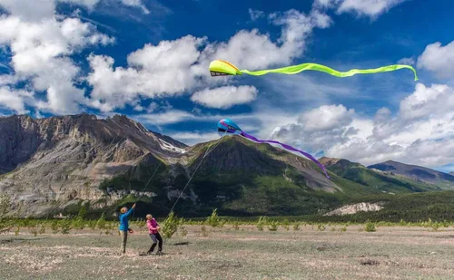 Miniatura 6 de Prism Bora - Cometa de parafoil de una sola línea Blaze
