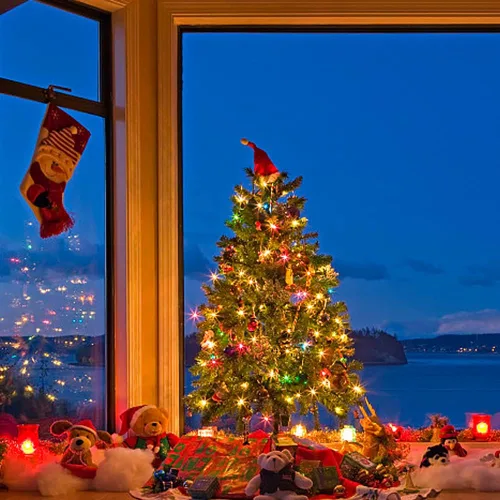 Miniatura 4 de ASENEK Tira de luces LED de Navidad, 33 pies, 100 luces LED para exteriores con temporizador y 8 modos, 3AA funciona con pilas, impermeable