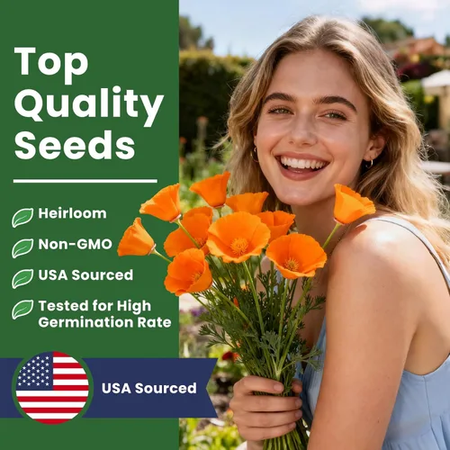 Miniatura 4 de Semillas de amapola naranja de California para plantar, paquete a granel de 0.35 onzas, más de 10,000 semillas nativas, flor del estado de California