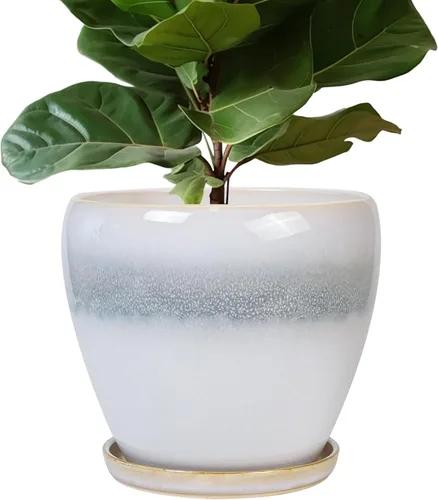 Miniatura 21 de Maceta para Plantas de 6.8 Pulgadas - Maceta de Cerámica con Orificio de Drenaje y Platillo, Maceta Redonda Moderna para Flores, Macetas