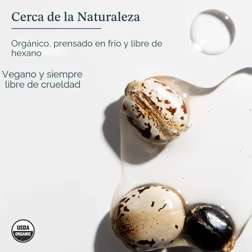 Miniatura 3 de HERITAGE STORE Aceite de ricino orgánico, botella de vidrio, tratamiento nutritivo para el cabello y la piel, aceite para el cabello, suero
