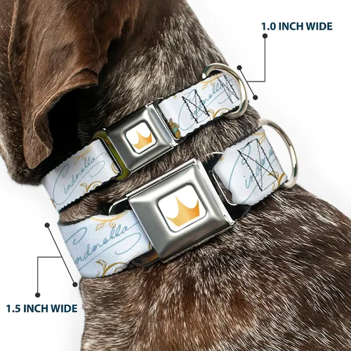 Miniatura 2 de Collar de perro con hebilla de cinturón de seguridad Cenicienta Calabaza Entrenador y ratones Pose con Script Blues 9.5 a 13 pulgadas 1.0 pulgadas