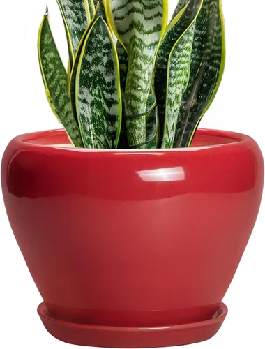 Miniatura 85 de Maceta de Cerámica Moderna con Esmalte para Suculentas con Agujero de Drenaje y Platillo, Maceta Redonda de 6 Pulgadas para Plantas de Flores