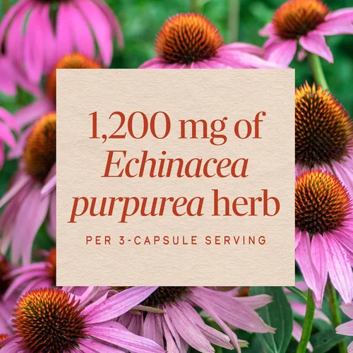 Miniatura 4 de Nature's Way Echinacea Purpurea, 1,200 mg por porción, 180 VCaps