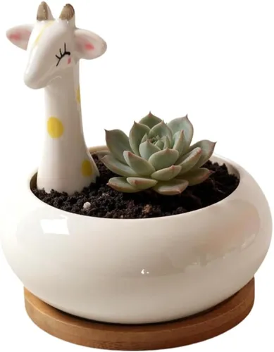 Miniatura 14 de Cuteforyou Macetas para suculentas, bonita maceta de cerámica con forma de vaca de dibujos animados para suculentas/cactus/flores, soportes