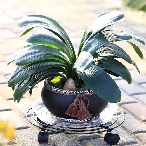 Miniatura 9 de Paquete de 5 cestas de metal para plantas de 11.8 pulgadas con ruedas, soporte de hierro forjado resistente con ruedas para uso en interiores