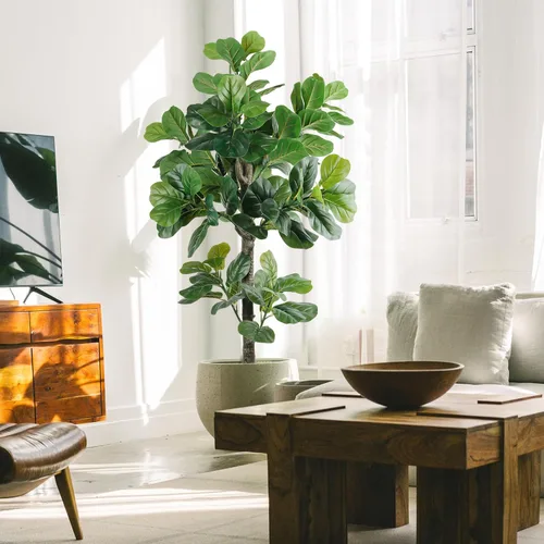 Miniatura 3 de Árbol de higuera artificial de hoja de violín de 5 pies de alto, planta de higuera falsa para interiores, planta de ficus iyrata falsa que incluye