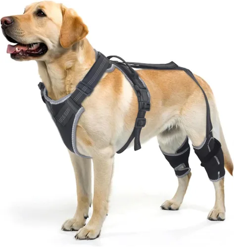 Rodillera para perro para desgarro del ligamento cruzado anterior y soporte de pierna trasera con estabilizadores laterales, soporte ajustable para