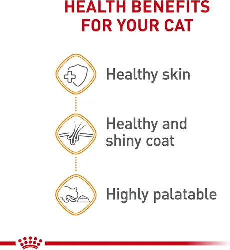 Miniatura 3 de Royal Canin Feline Care Nutrition Cuidado del cabello y la piel en rodajas finas en salsa para gatos, 3 onzas (paquete de 24)