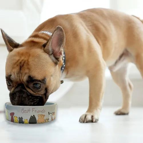 Miniatura 6 de SPOT Best Friends - Plato de comida para mascotas, cuenco de cerámica para alimentos o agua para mascotas, ideal para perros pequeños, apto