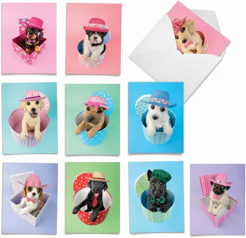 Miniatura 12 de The Best Card Company - 10 tarjetas de felicitación para perros en blanco para todas las ocasiones (4 x 5.12 pulgadas) - Boo El perro más lindo