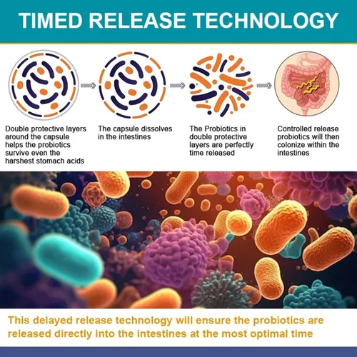 Miniatura 5 de TheraSuva Probióticos 120 mil millones de cepas CFU-36 + prebióticos orgánicos + suplemento alimenticio integral natural para un mejor apoyo a