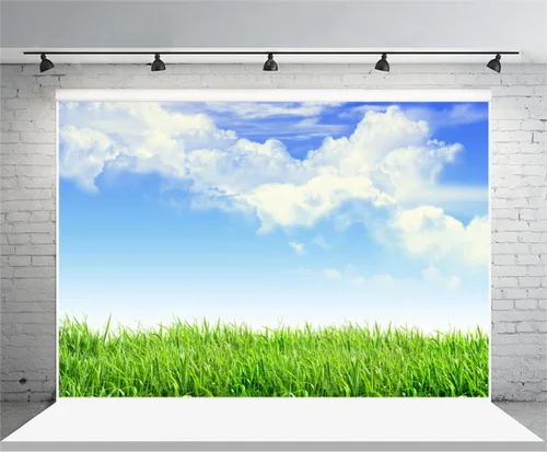 Miniatura 7 de Leyiyi Fondo de fotografía de pastizales de primavera de 4 x 4 pies, planta de jardinería, prado, cielo, nube, punto de luz, pradera del norte