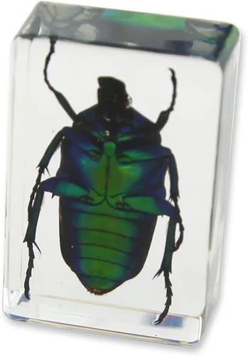 Miniatura 3 de Pisapapeles verde Chafer Beetle (1 1/8 x 1 3/4 x 3/4)