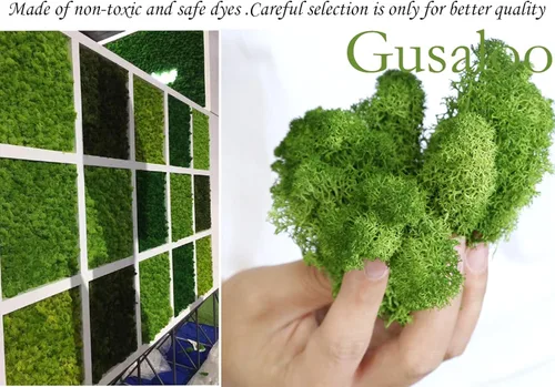 Miniatura 6 de Musgo artificial preservado de musgo para plantas en maceta, musgo verde fresco natural para manualidades, decoración de pared floral, centros