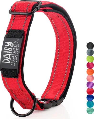 Actualización: collares de perro personalizados y placa de identificación grabada, collar de perro de nailon reflectante, personalizable en 11 Rojo