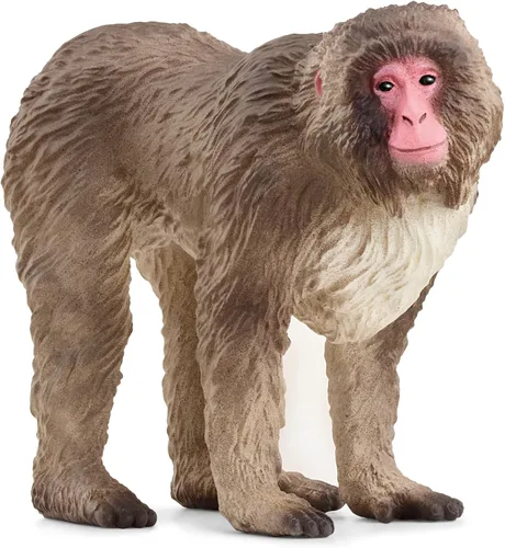 Schleich Wild Life - Figura de macaco japonés de juguete de animales salvajes, niños y niños pequeños a partir de 3 años