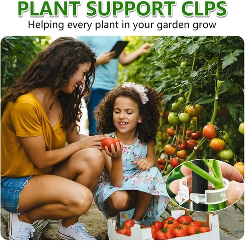 Miniatura 8 de FXOICMI Clips de soporte para plantas, clips de fijación de jardín de plástico para plantas trepadoras, vides de tomate y uva, clips de jardín