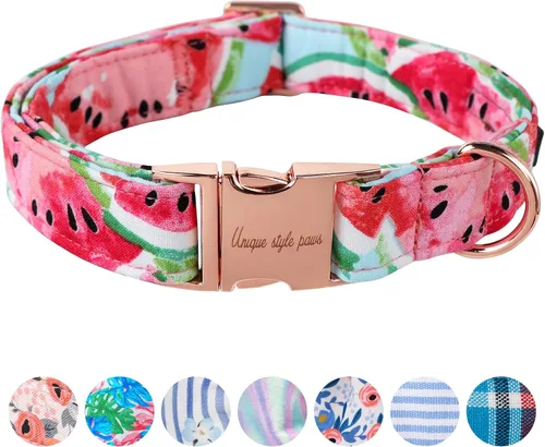 Miniatura 11 de Unique style paws - Collar para perro con hebilla de metal, naranja, duradero, lindo collar para perros pequeños, medianos y grandes