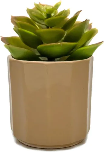 Perilla Home Maceta individual de cerámica hecha a mano para interiores y exteriores con orificio de drenaje para decoración del hogar y la oficina,