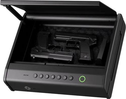 PINEWORLD - Caja fuerte para armas, cajas fuertes biométricas para pistolas de mano, caja fuerte para pistolas con huella digital o teclado, 4
