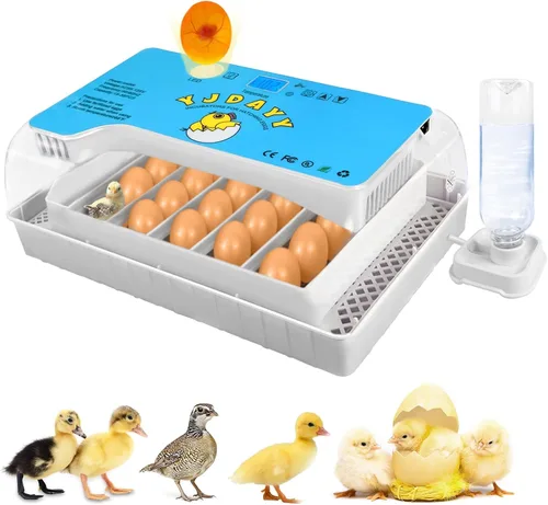 Incubadoras para incubar huevos de 15-35 huevos con giro automático de huevos y pantalla de temperatura ℉ Incubadora de aves de corral LED para