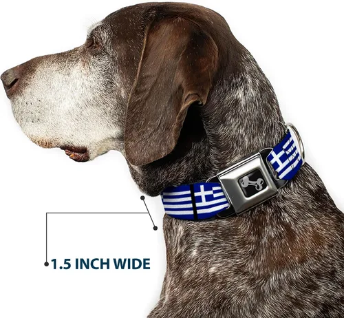 Miniatura 7 de Buckle-Down Collar de perro con hebilla de cinturón de seguridad, banderas de Grecia, 1 pulgada de ancho, se adapta a cuello de 9 a 15 pulgadas