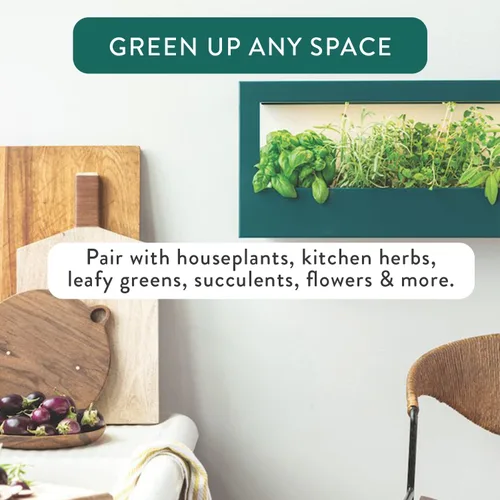 Miniatura 6 de Modern Sprout Smart Landscape Growframe - Soporte para plantas montado en la pared con luz LED de cultivo - Control inteligente por aplicación