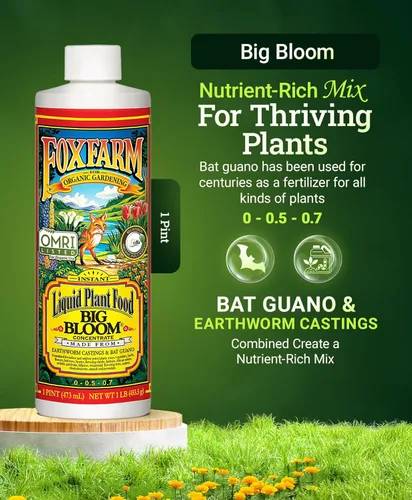 Miniatura 2 de FoxFarm - Alimento para plantas Big Bloom, concentrado de fertilizante líquido para flores, frutas y verduras, fertilizante vegetal multiusos