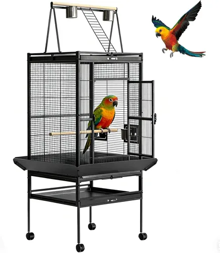 Garvee Jaula grande para pájaros de 68 pulgadas de alto, jaula de periquitos con tapa rodante, jaulas para pájaros grandes para loros, periquitos,