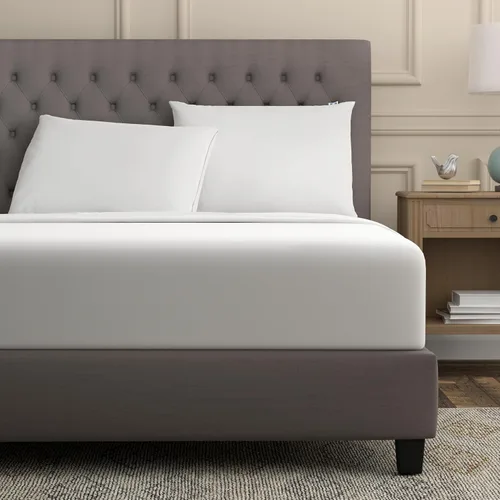 Miniatura 5 de Sealy Performance - Protector de almohada 100% algodón transpirable que absorbe la humedad, lavable a máquina, con cremallera, tamaño King, 2