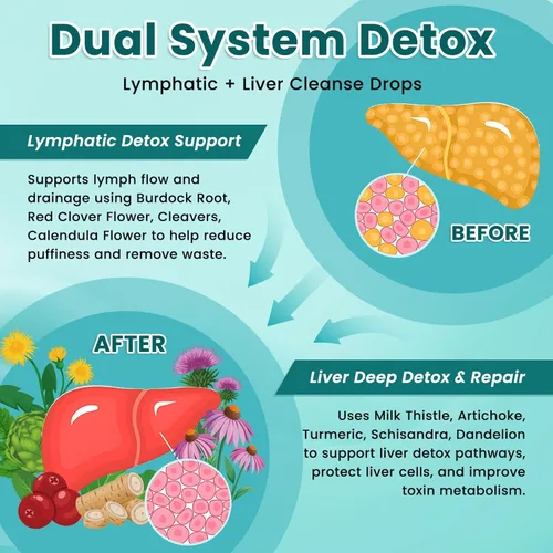 Miniatura 4 de Gotas de drenaje linfático liposomal, suplemento líquido de desintoxicación y reparación de limpieza del hígado con cardo mariano, diente de león