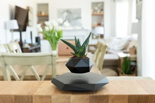 Miniatura 4 de BandDlevs Macetas flotantes para plantas - Maceta levitante - Maceta levitadora para bonsái, suculentas, plantas de aire - Exhibidor magnético