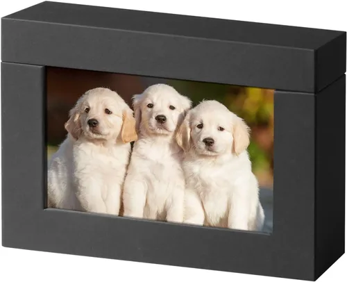 Miniatura 8 de Caja de almacenamiento de 5 x 7, cajas de cartón para fotos de familias pequeñas y parejas, cajas de regalo, color blanco plateado