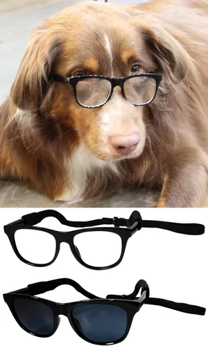 Miniatura 20 de G006 Disfraz para perro y mascota, estilo retro de los años 80, lentes de sol ajustables para razas medianas de 20 a 40 libras, para fiesta, Panto