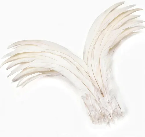 Holmgren Plumas de Cola de Gallo Color Blanco Hueso - 60 piezas Plumas de Cola de Gallo Grandes de 12-14 pulgadas al Por Mayor para Manualidades