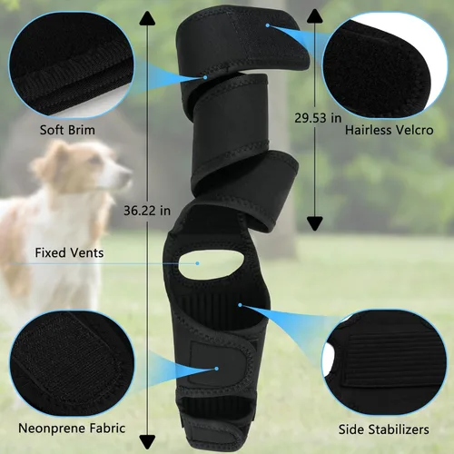 Miniatura 3 de Rodillera para perro para desgarro del ligamento cruzado anterior, soporte elástico, estabilizador de compresión ajustable, neopreno transpirable