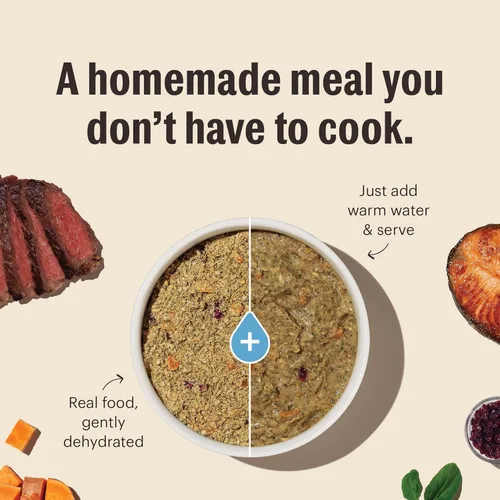 Miniatura 5 de The Honest Kitchen Human Grade Wholemade™ Comida deshidratada para perros sin granos de pollo grado humano - Comida completa y equilibrada