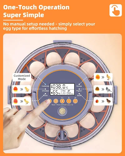 Miniatura 2 de Incubadoras para incubar huevos, 12 incubadoras de pollo con giro automático de huevos y control de humedad, suministros acogedores con vela