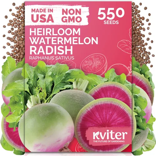 Miniatura 11 de KVITER 3100 semillas de zanahoria tiernas para plantar (Daucus carota) - Semillas de vegetales sin OMG para jardín al aire libre - Zanahorias dulces